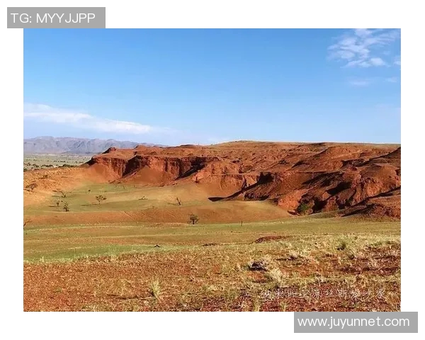 南非与纳米比亚激战正酣谁能在这场较量中笑到最后